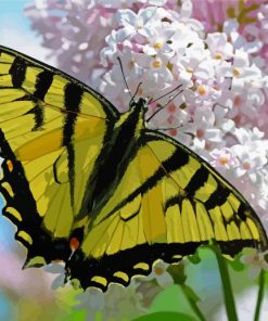 White Lantanas Flowers With Yellow Butterfly paint by numbers