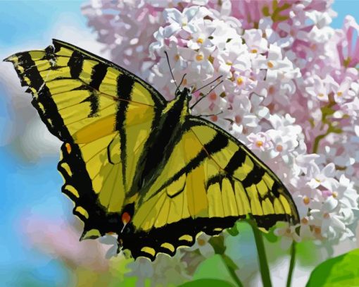 White Lantanas Flowers With Yellow Butterfly paint by numbers