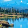 Wonder Lake Denali National Park Mountains paint by numbers