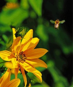 Yellow Flowers And Bee paint by numbers