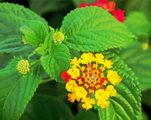 Yellow Lantanas Flowers paint by numbers