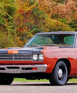 1969 Plymouth Roadrunner paint by numbers