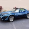 1979 Blue Pontiac Firebird Car paint by numbers