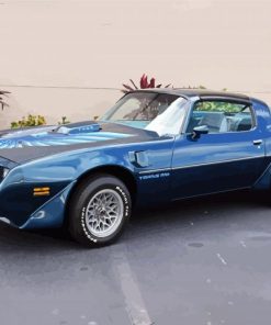 1979 Blue Pontiac Firebird Car paint by numbers