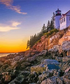 Acadia National Park Bar Harbor paint by numbers