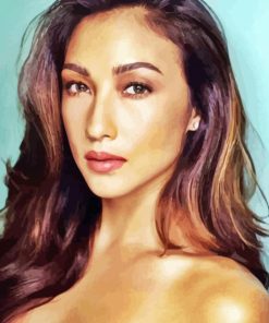 Actress Solenn Heussaff paint by numbers