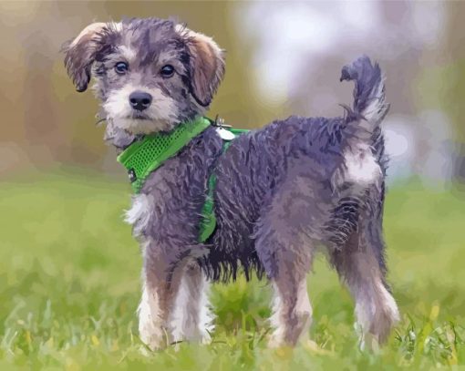 Adorable Schnoodle Puppy paint by numbers