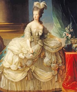 Aesthetic Queen Marie Antoinette paint by numbers