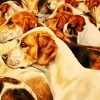 American Foxhound Dogs paint by numbers