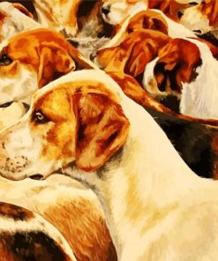 American Foxhound Dogs paint by numbers