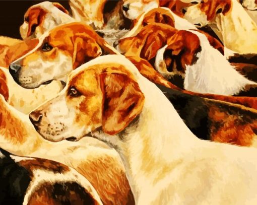 American Foxhound Dogs paint by numbers