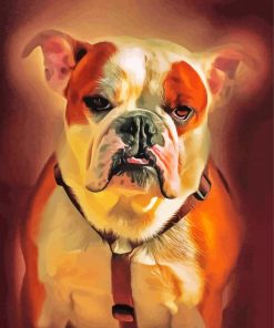 American Bulldog Animal paint by numbers