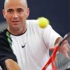 Andre Agassi Player paint by numbers