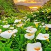 Arum Lilies In Field Landscape paint by numbers