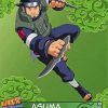 Asuma Sarutobi paint by numbers