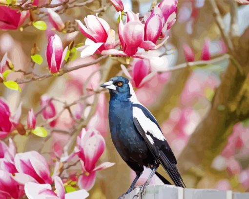 Australian Magpies With Pink Tree paint by numbers