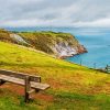 Berry Head National Nature Reserve Paint By Numbers