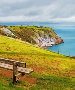 Berry Head National Nature Reserve Paint By Numbers