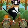 Bicycle Cat Art paint by numbers