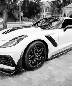 Black And White Corvette ZR1 paint by numbers