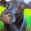 Black Cow Head paint by numbers