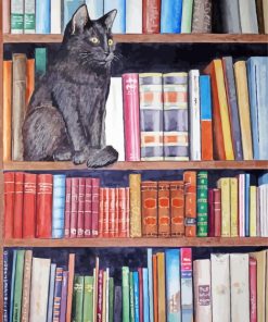 Black Cat In Bookshelves paint by numbers