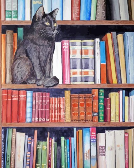 Black Cat In Bookshelves paint by numbers
