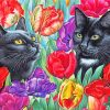 Black Cats And Colorful Flowers paint by numbers