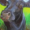 Black Cow Animal paint by numbers