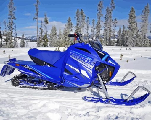 Blue Snowmobile paint by numbers