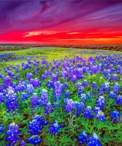 Blue Wildflowers Landscape paint by numbers