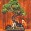 Bonsai Tree paint by numbers