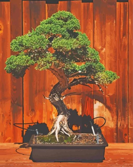 Bonsai Tree paint by numbers