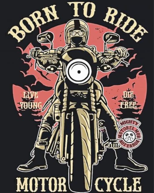 Born To Ride Poster paint by numbers