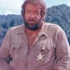 Aesthetic Bud Spencer Actor paint by numbers