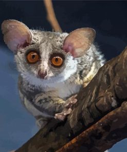 Bushbaby Animal paint by numbers