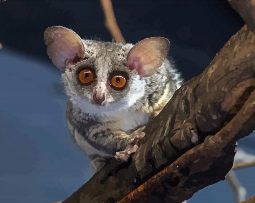 Bushbaby Animal paint by numbers