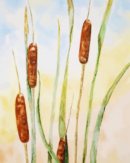 Cattail Plants paint by numbers