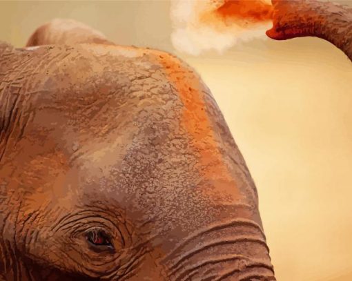 Close Up Elephant Dust paint by numbers