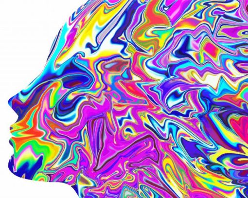 Colorful Psychedelic Woman Head Paint By Numbers