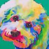 Colorful Cockapoo Art paint by numbers