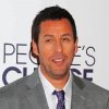 Comedian Adam Sandler paint by numbers