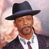 Comedian Katt Williams paint by numbers