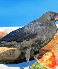 Crow On Watermelon paint by numbers