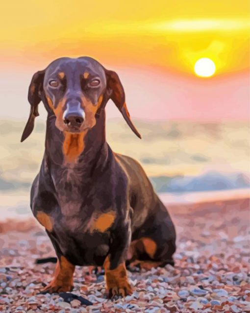 Dachshund On The Beach paint by numbers