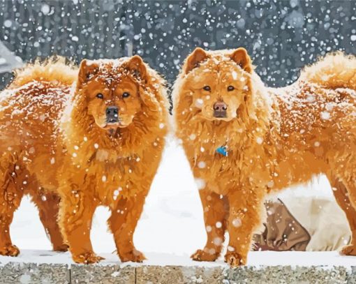 Dog Couple In Snow paint by numbers