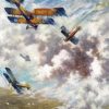 Dogfight Art paint by numbers