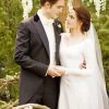 Edward And Bella Wedding paint by numbers