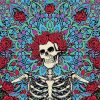 Floral Skulls paint by numbers