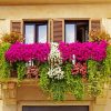 Flowers Balcony Landscape paint by numbers